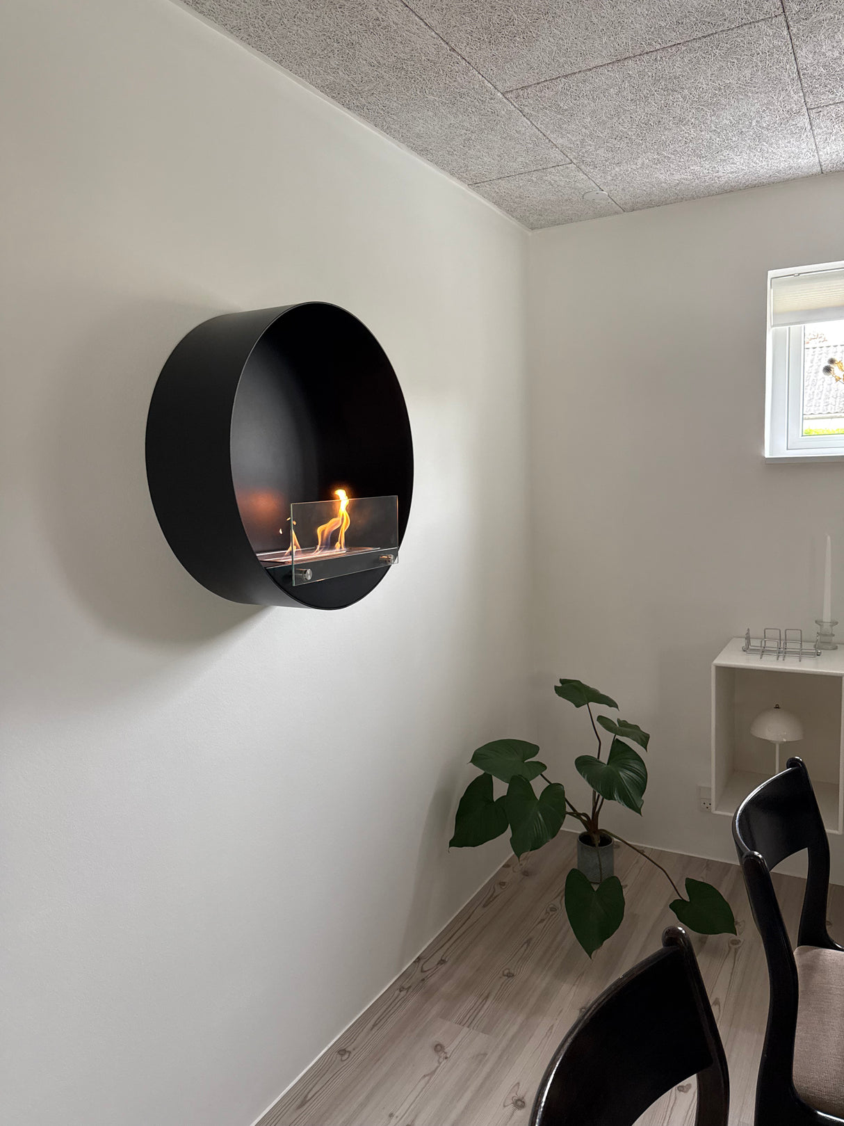 Scandiflame Delaware