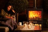 Chesney Outdoor Wood Burner