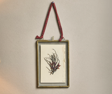 Nkuku Kiko Brass Frame